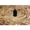 Bild Andrea 5 ml // aus Glas *LAGERWARE*. 8