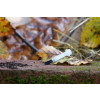 Bild Andrea 5 ml // aus Glas *LAGERWARE*. 6