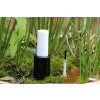 Bild Andrea 5 ml // aus Glas *LAGERWARE*. 12