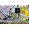Bild Cylinder 15 ml // aus Glas *LAGERWARE*. 23