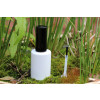 Bild Cylinder 15 ml // aus Glas *LAGERWARE*. 27
