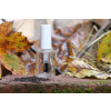 Bild Cylinder 15 ml // aus Glas *LAGERWARE*. 50