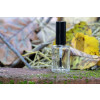 Bild Cylinder 15 ml // aus Glas *LAGERWARE*. 29