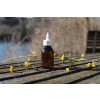 Bild Rundflaschenserie Wilbur 50 ml - 1000 ml // Gewinde PFP 28 *LAGERWARE* 103