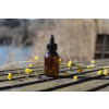 Bild Rundflaschenserie Wilbur 50 ml - 1000 ml // Gewinde PFP 28 *LAGERWARE* 104