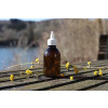 Bild Rundflaschenserie Wilbur 50 ml - 1000 ml // Gewinde PFP 28 *LAGERWARE* 107