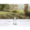 Bild Glasflaschenserie Andrea 5 ml - 15 ml // Gewinde 13/415 *LAGERWARE* 26