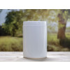 Bild Jars KABINETT *ON STOCK* 26