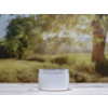 Bild Jars KABINETT *ON STOCK* 15