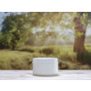Bild Jars KABINETT *ON STOCK* 16