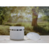 Bild Jars Piatta *ON STOCK* 24