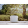 Bild Jars Piatta *ON STOCK* 21
