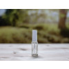 Bild Glasflasche Salina 10 ml mit Zubehör  *AUSVERKAUF* 6