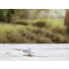 Bild DROP // Pipette // 30 ml *SALE* 2