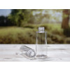 Bild Rundflaschen PLATON // Gewinde 24/410 *SALE* 2