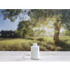Bild Pipettenflaschen 100 ml mit Glaspipette *LAGERWARE* 5