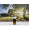 Bild Rundflaschenserie Wilbur 50 ml - 1000 ml // Gewinde PFP 28 *LAGERWARE* 23
