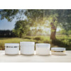 Bild Jars Piatta *ON STOCK* 1
