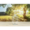 Bild PET-Rundflasche Olymp // Gewinde 28/410 *LAGERWARE* 3